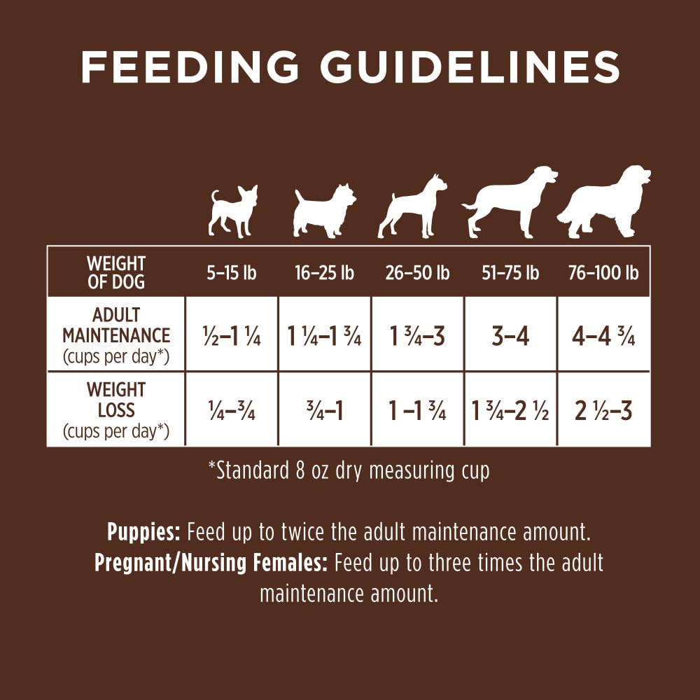 Be Natural Lamb & Oatmeal Dry Dog Food, 4.5 lb. Bag