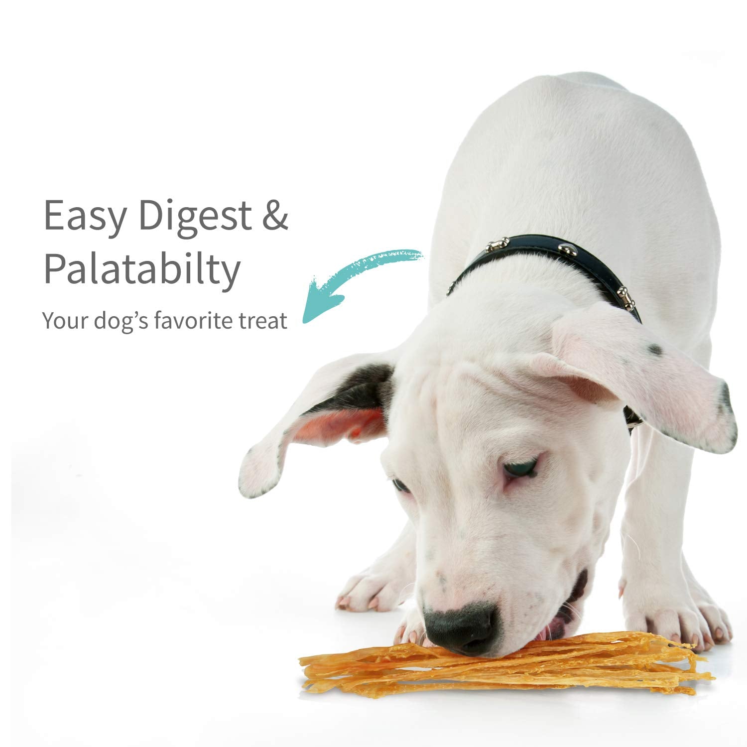 PAPILUX Turkey Tendon for Dogs, Hypoallergenic, All Natural Easily Digest Dog Chew Treat