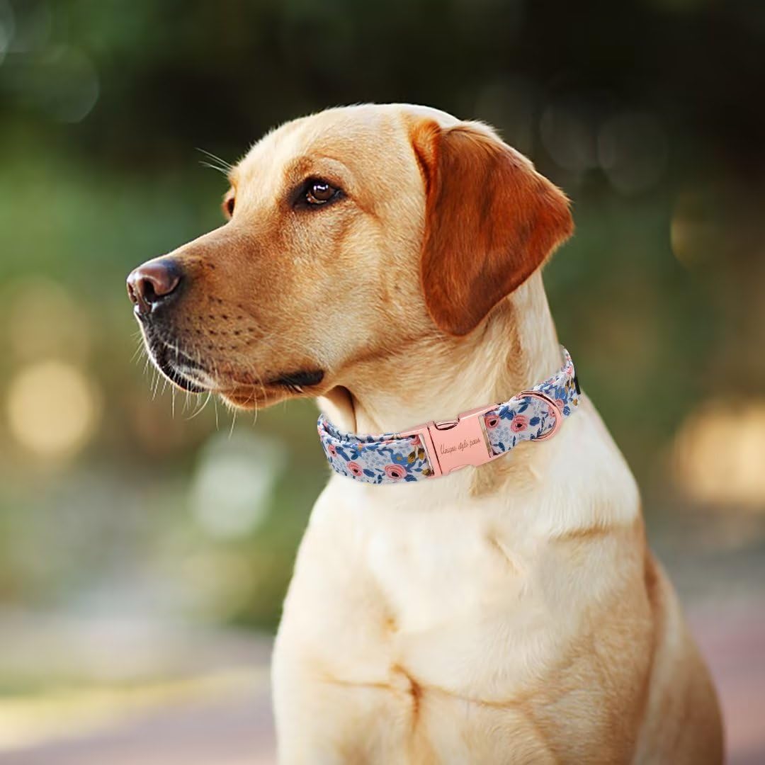 Unique Style Paws Dog Collar Metal Buckle Red Rose Collar Flower Gift Durable Cute Collar For Small Medium Large Boys Girls Dogs