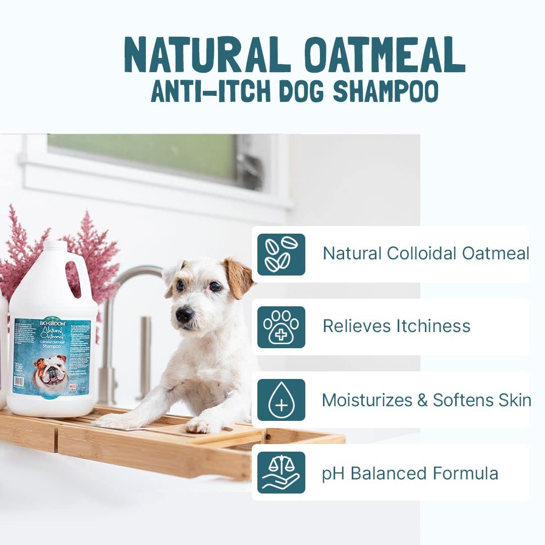 Bio-Groom Oatmeal Dog Shampoo – For Allergies And Itching, Cruelty-Free, Dog Bathing Supplies, Puppy Shampoo For Sensitive Skin, Made In Usa, Anti-Itch Dog Products – 12 Fl Oz 1-Pack