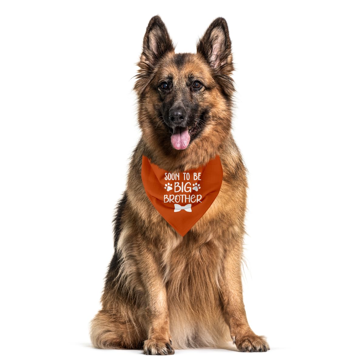 Soon To Big Brother Dog Pregnancy Announcement Shirt - Big Dog Bandana & Scarf (B6)