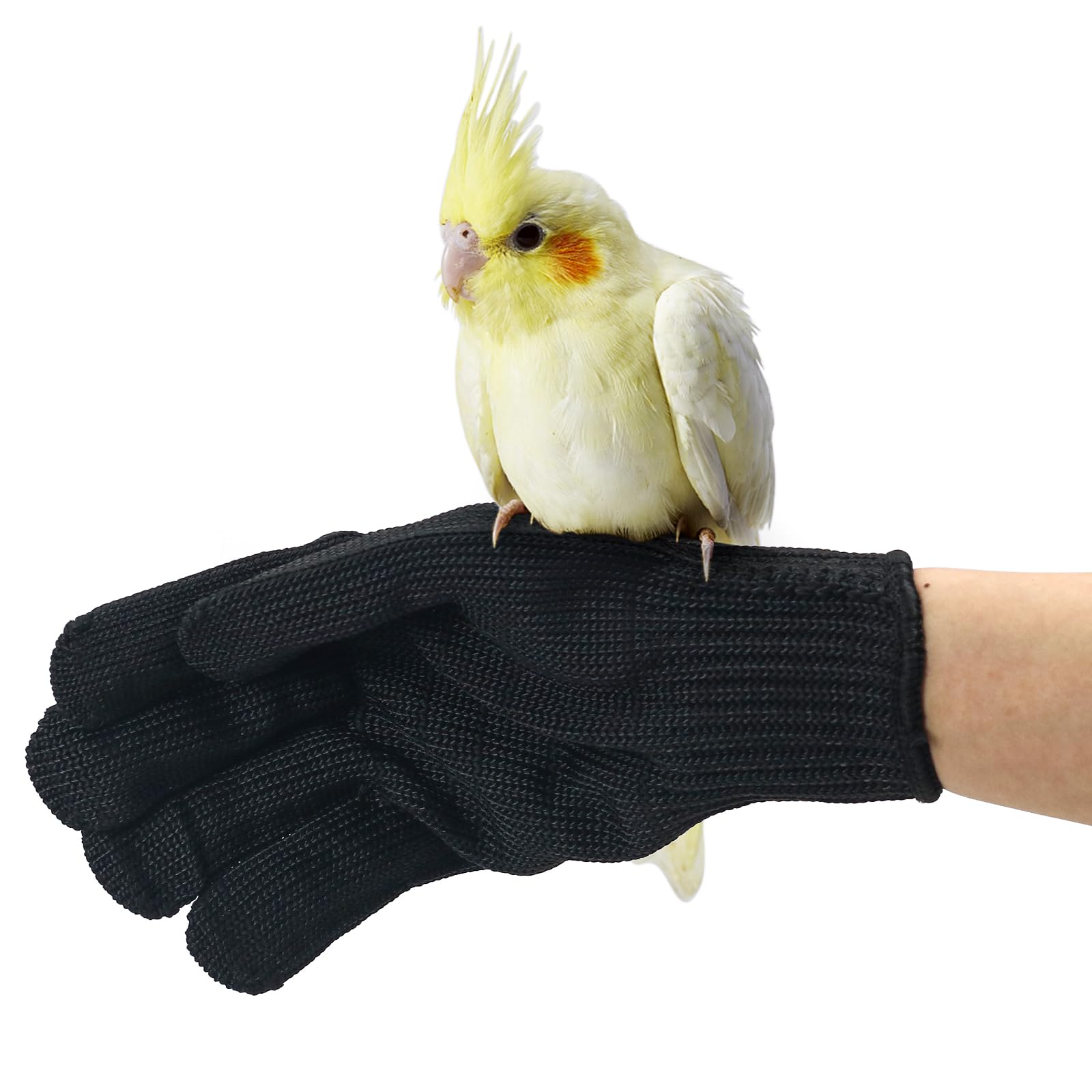 Bird Training Anti-Bite Gloves, Level 5 Protection, Parrot Chewing Working Safety Protective Gloves For Small Animal Pet Squirrels Hamster Parrotlets Cockatiels Finch Macaw (Gloves + Arm Sleeves)