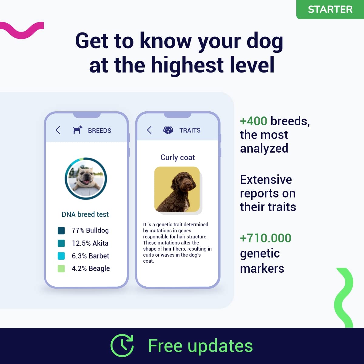 Koko Genetics Starter DNA Test for Dogs, Analyzes & Identifies 400+ Breeds and Offers 25+ Genetic Traits and Ancestry Reports, L
