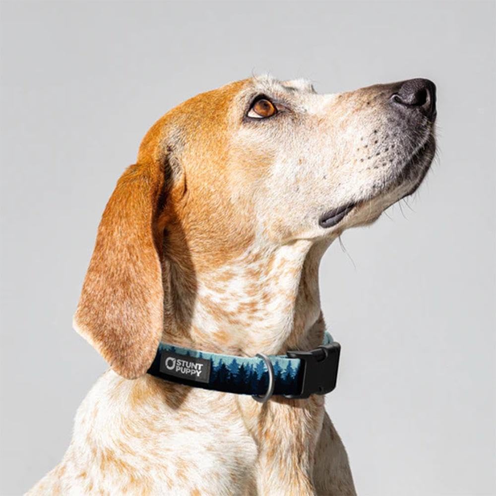 Pines Blue Everyday Collar, Large