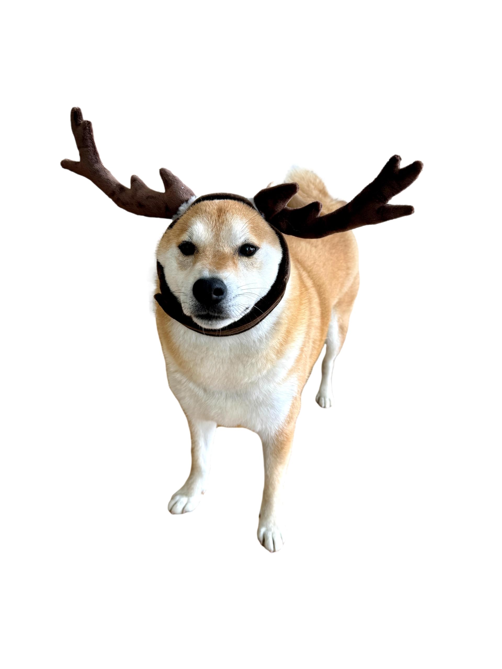 Comfycamper Reindeer Dog Headpiece - Elk Deer Antlers X Large Xxl Animal Cosplay Halloween Costumes Christmas, M