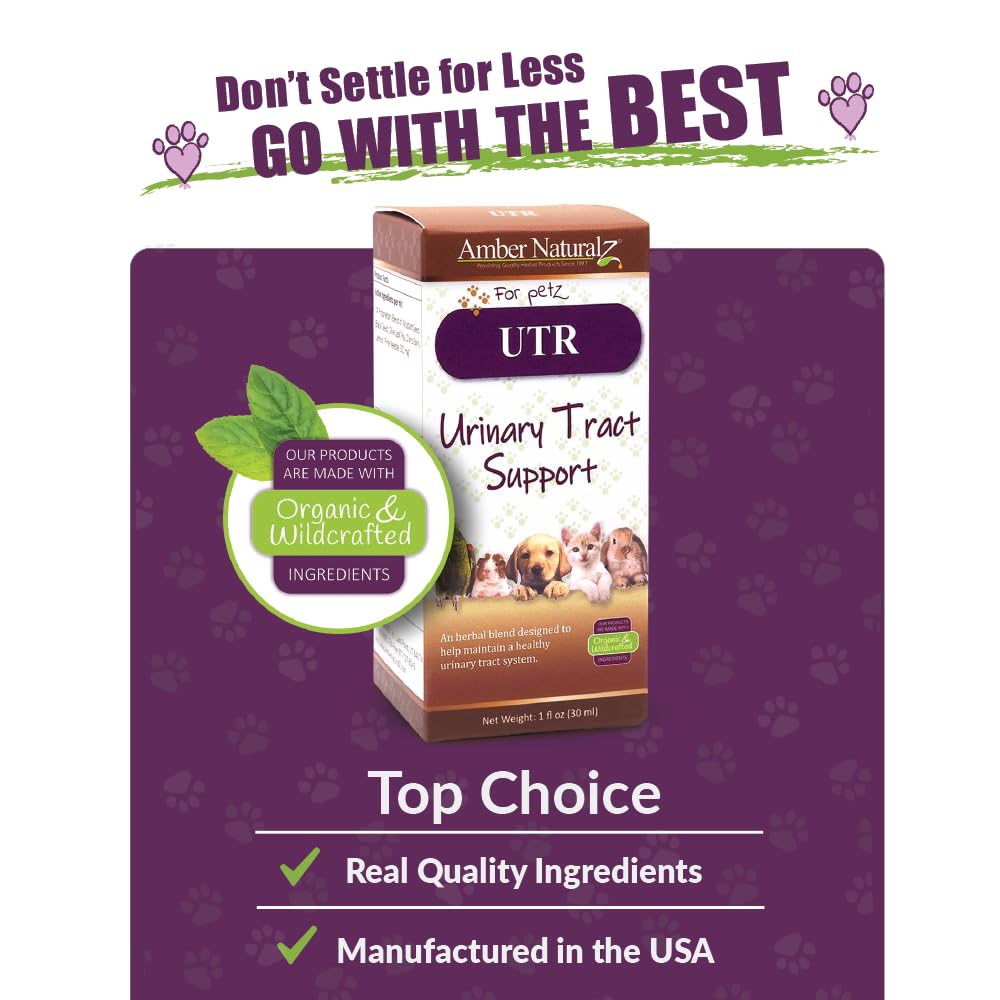 AMBER NATURALZ UTR Urinary Tract Herbal Supplement for Dogs, Cats, Birds, Guinea Pigs, and Rabbits | Pet Herbal Supplement for B