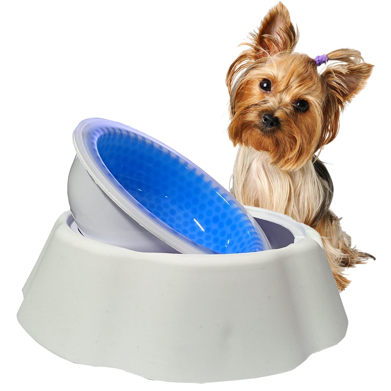 Jainsons Pet Products Pet Cooler Bowl | 500Ml Freezable Water Bowl For Dogs, Puppies, Cats & Kittens | Removable Ice Insert | Ke