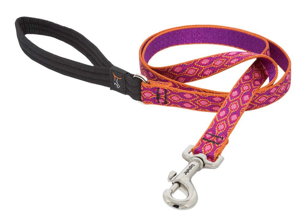 LupinePet Originals 3/4 Alpen Glow 6-Foot Padded Handle Leash for Medium and Larger Dogs