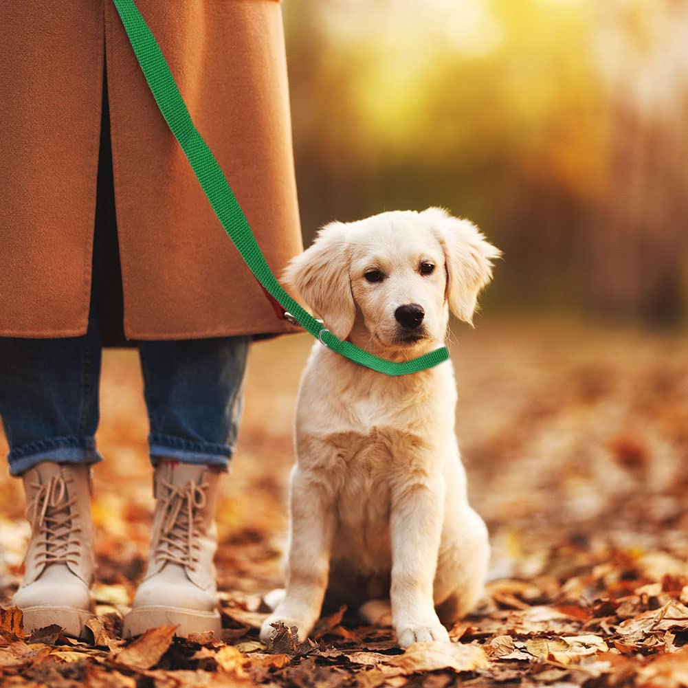Litewoo 6 Packs Slip Lead Dog Leash, Durable And Comfortable For Cats, Dogs And Other Small Animals