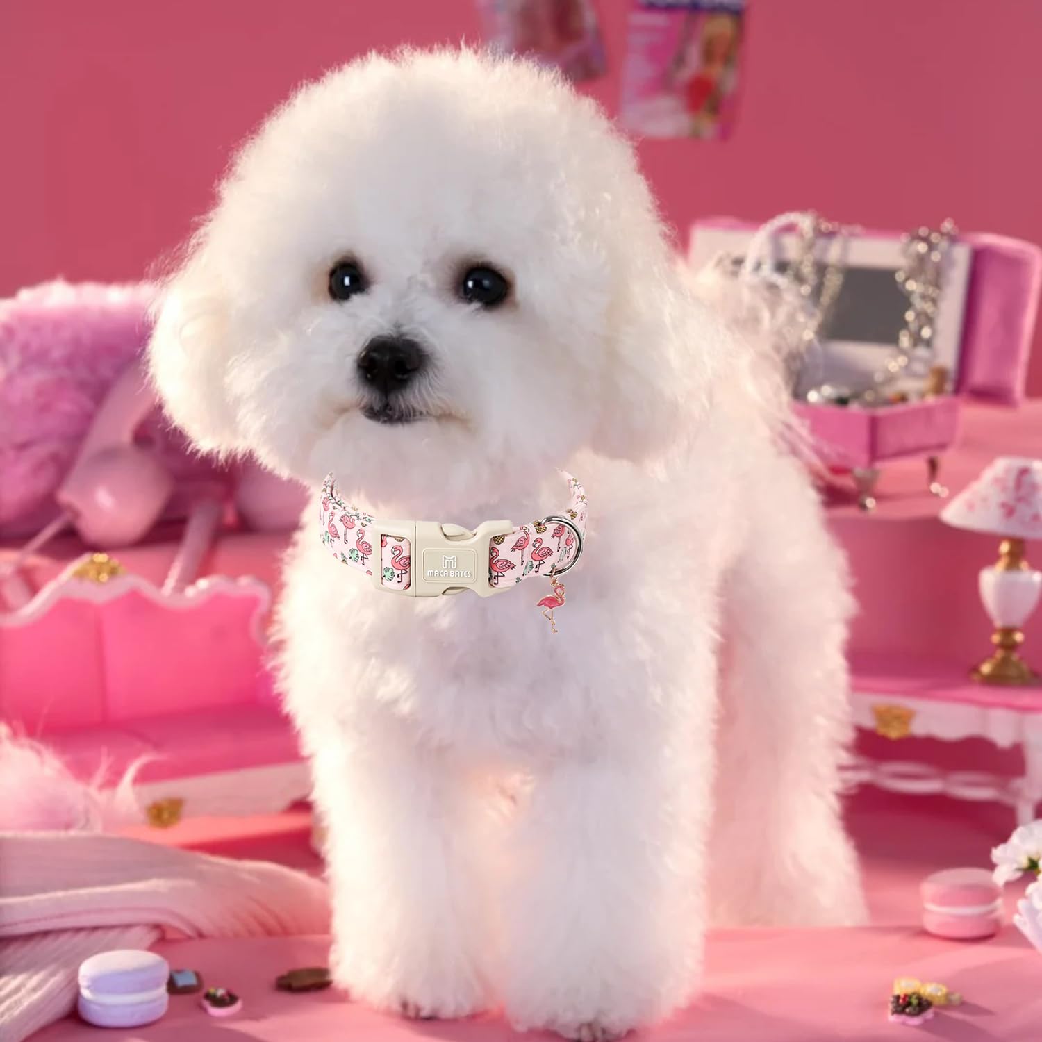 Maca Bates Cute Pink Flamingo Basic Dog Collar Puppy Collars Durable Comfortable Adjustable Durable Birthday Gift For Xs Small M