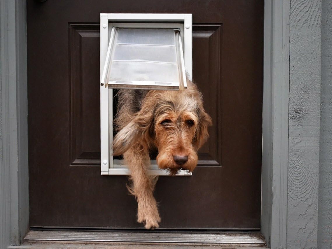 Endura Flap Double Flap Pet Door For Doors | All-Weather Insulated Flap | Durable Aluminum Frame With Secure Locking Cover | Int