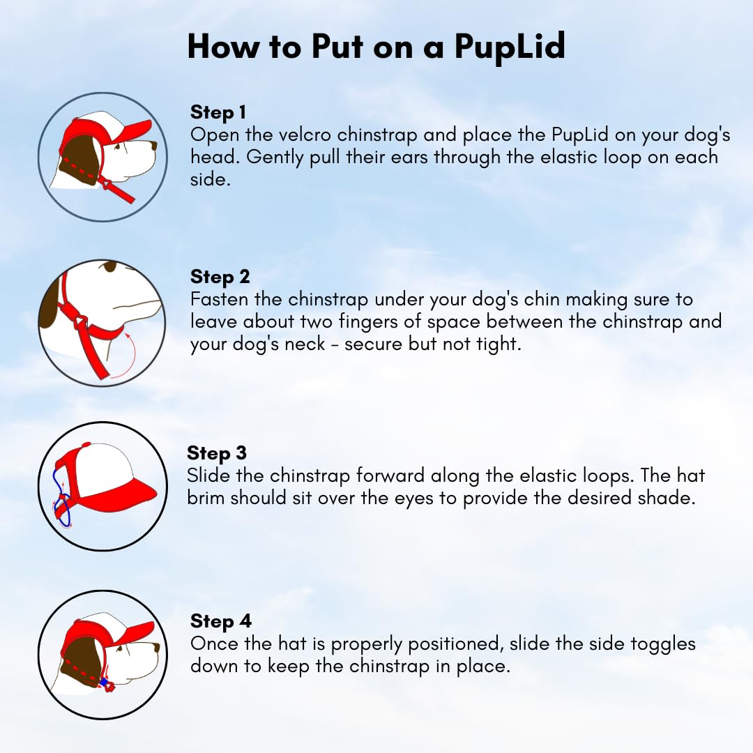 Sunset Collection, Puplid Trucker Hats For Dogs (Medium) Premium Stylish Sun Protection For The Modern Dog - Adjustable For Secu
