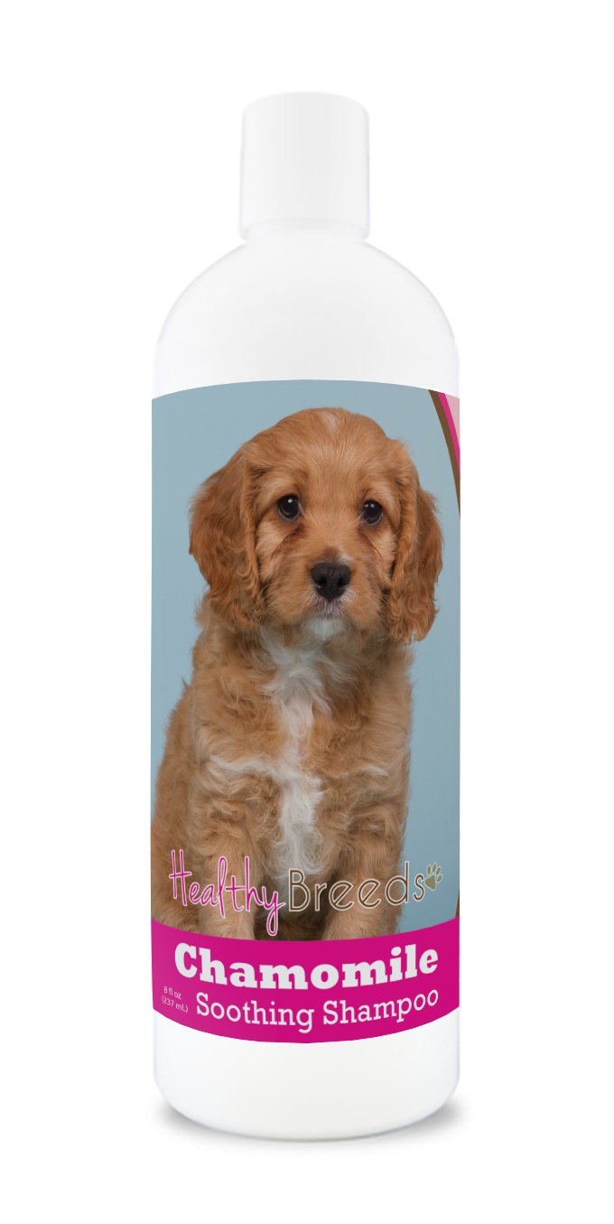 Healthy Breeds Cavapoo Chamomile Soothing Dog Shampoo 8 oz