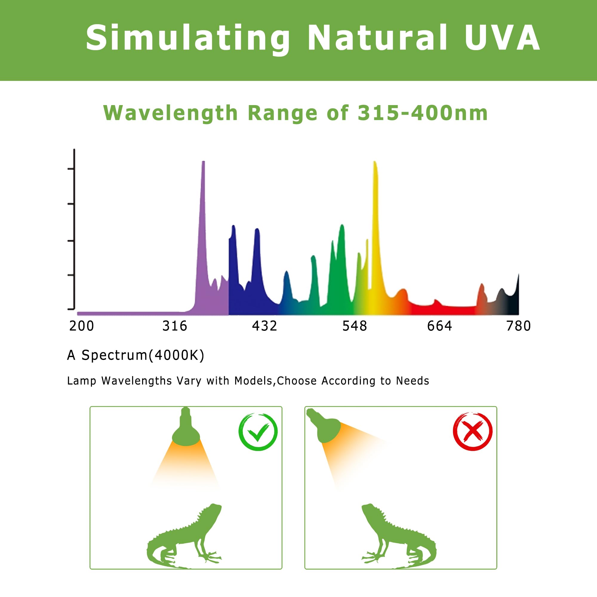 Hartompet 100W E26 Reptile Heat Lamp Bulbs - Upgraded Uva Amphibian Basking Spot Light, Simulated Sunlight For Bearded Dragon, L