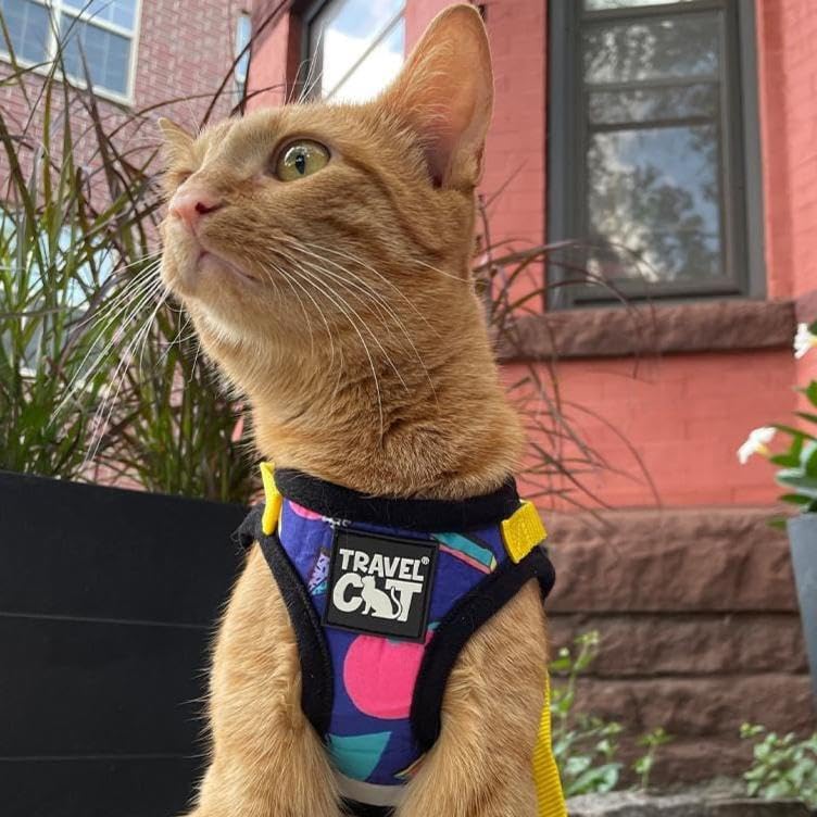 Travel Cat Harness and Leash Set - Adjustable Fit Mesh Harness and Reflective Strap - Comfort Walking Vest for Kitten for Outdoo