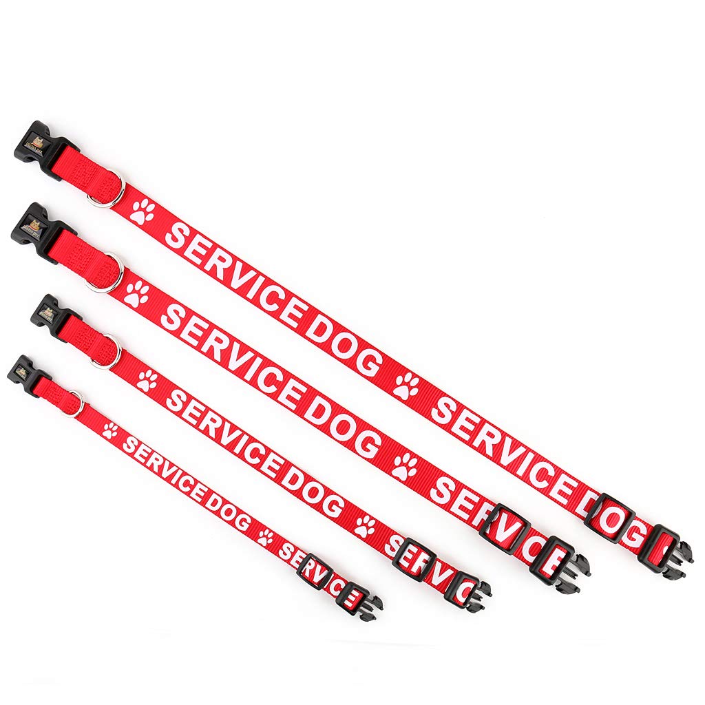 Plutus Pet Service Dog Collar,Printed In Large Letters On Nylon Webbing,Prevents Accidents By Warning Others Of Your Dog In Advance,Two Colors,Four Sizes,Neck 14-20 Inch,Medium,Red