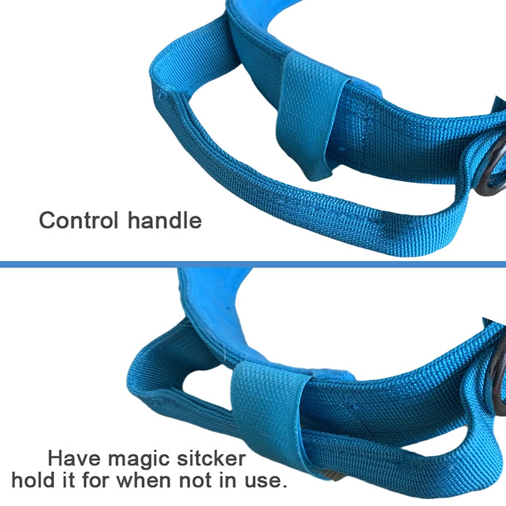 Tactical Dog Collar And Leash Set Tactical Dog Collar With Handle Bungee Leash Adjustable Military Training Nylon Collar Dog Training Collar Leash Set With Control Handleand Metal Buckle(Blue M
