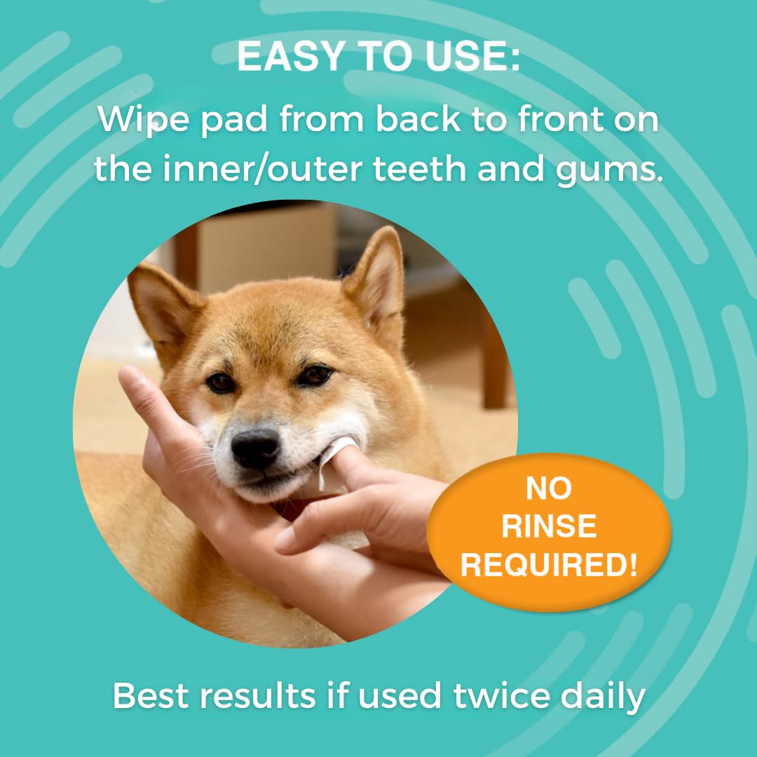 Nootie Dog Medi Dental Pad 60 Count
