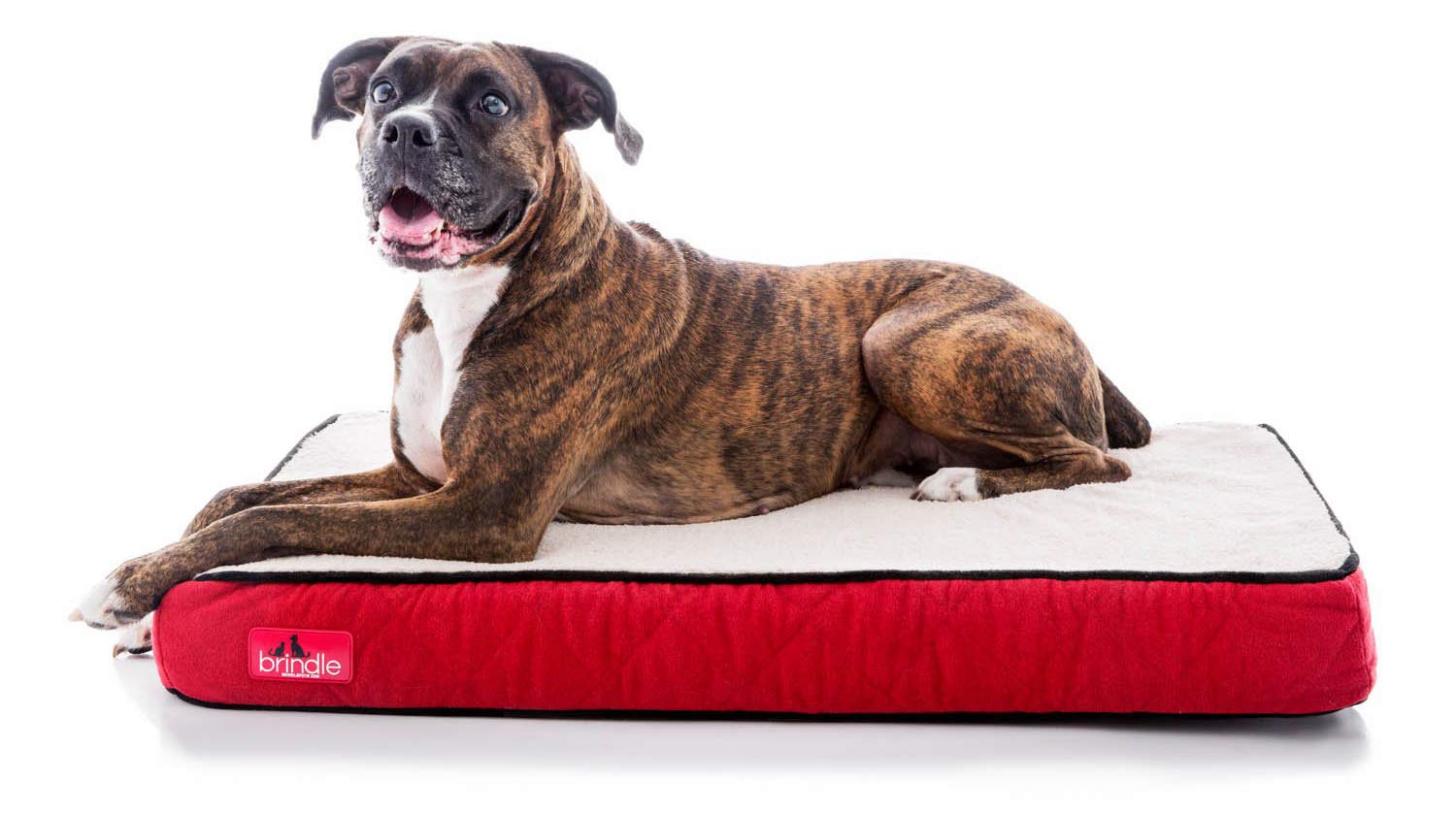 Brindle Waterproof Designer Memory Foam Pet BedRemovable Machine Washable Cover4 Inch Orthopedic Pet BedJoint Relief
