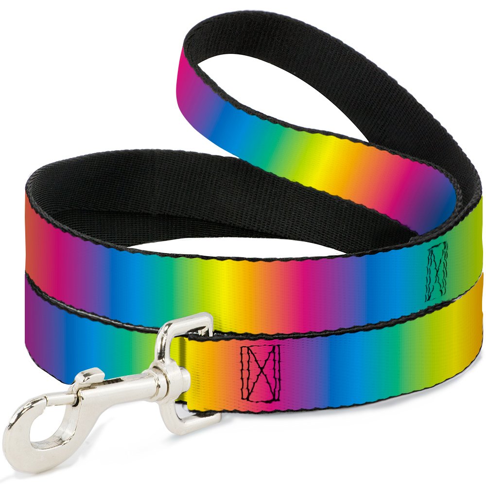 Buckle-Down Pet Leash - Rainbow Ombre - 6 Feet Long - 1 Wide