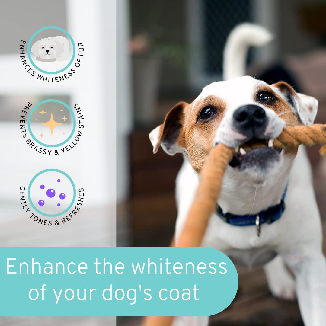 PET CARE Sciences 8 fl oz Dog Whitening Shampoo - Dog Shampoo for White Dogs - Brightens White and Darkens Dark Coats - Tearless