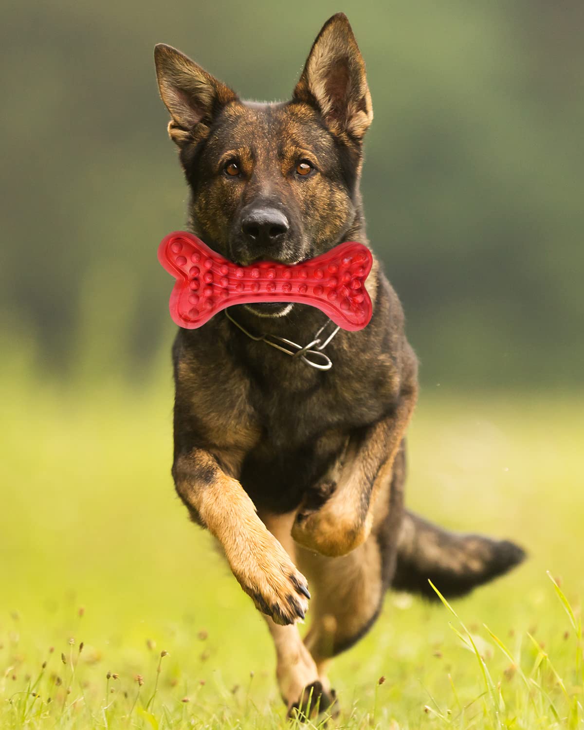 German Shepherd Dog Chew Toys for Aggressive Chewers,Indestructible Beef Flavored Tough Durable Dog Bone Toy Natural Rubber Teet