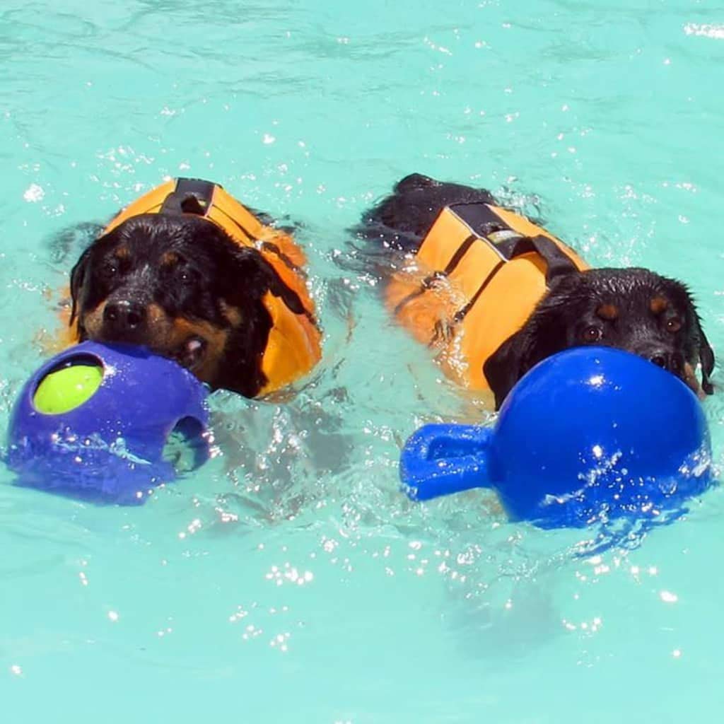 Jolly Pets Dog 10-Inch Tug-N-Toss, Blue