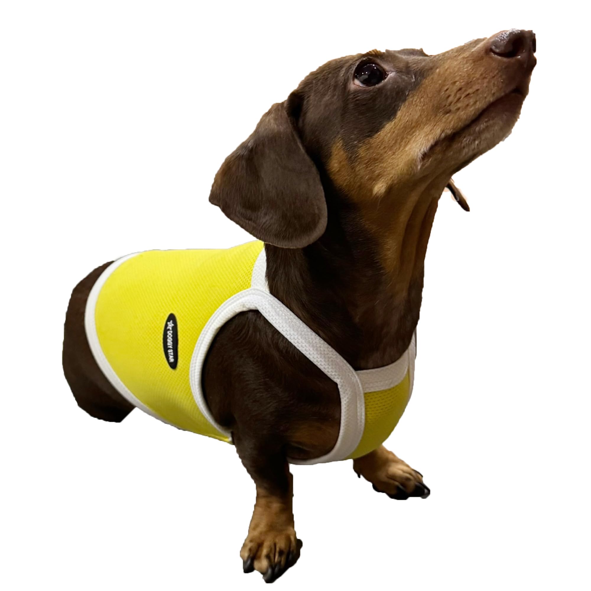 D Doggy Star Dachshund Clothes Spring Summer Cooling String T Shirt Crop Top For Dogs (S,Camisole Yellow)