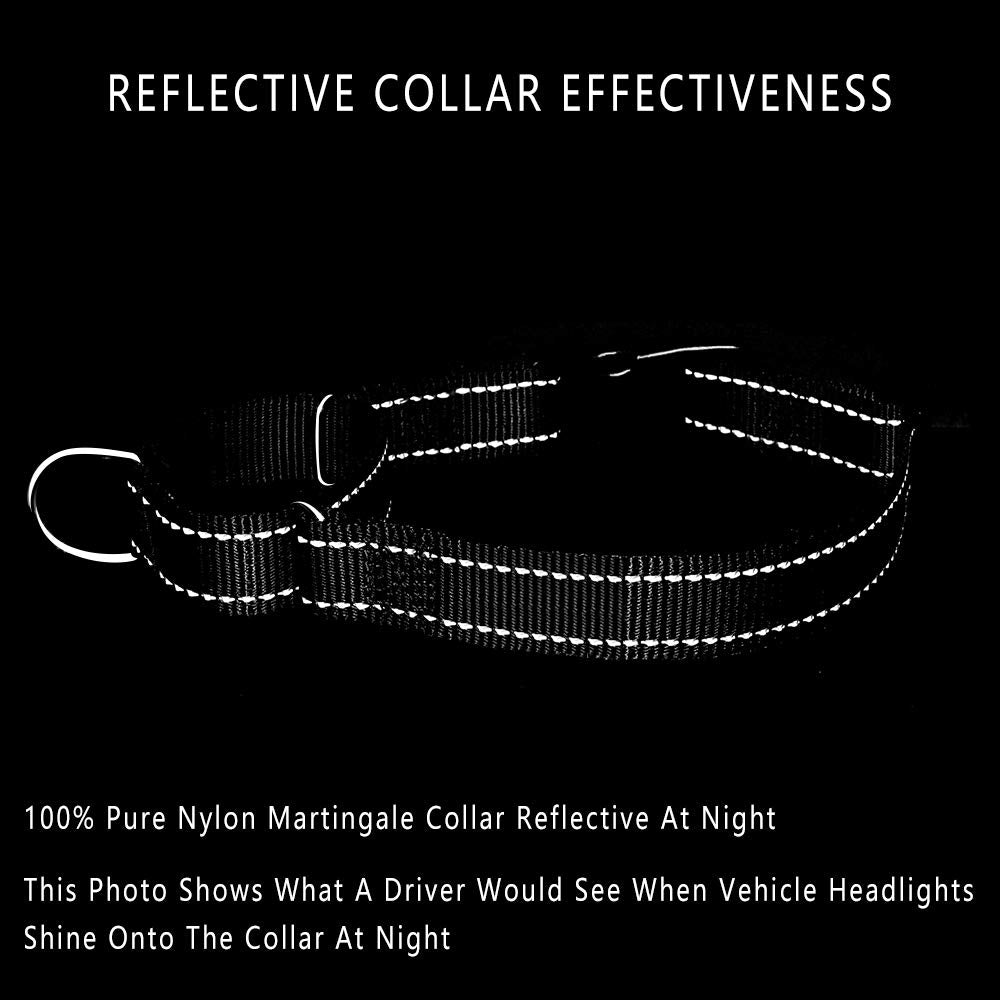 Plutus Pet Reflective Martingale Collar With Quick Snap Buckle,No Pull Dog Choker Collar For Small Medium Large Dogs,S,Black
