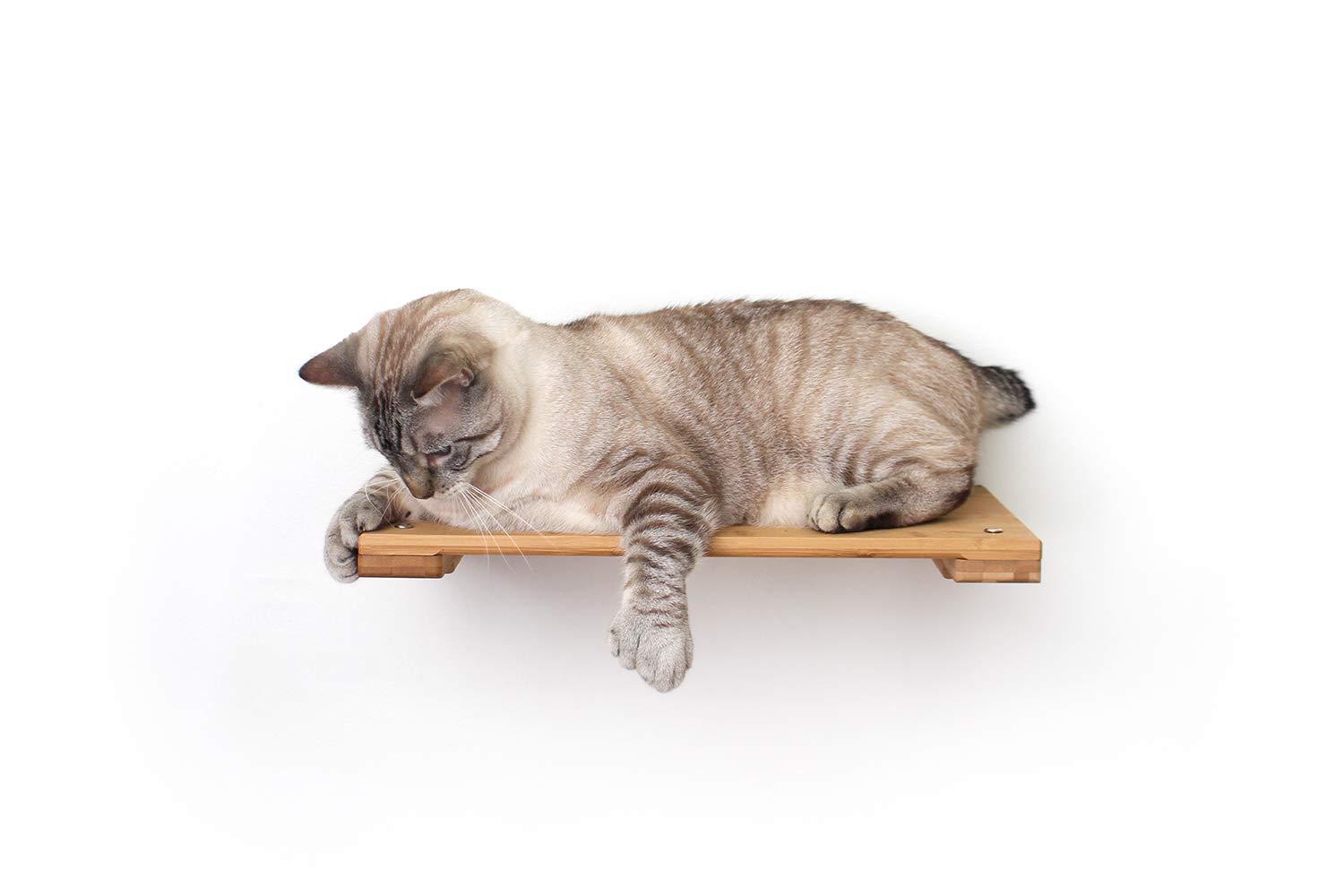 Catastrophicreations Cat 18'' Shelf Handcrafted Elevated Wall, English Chestnut Bamboo, One Size