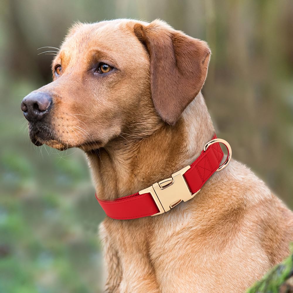 Pet Artist Charming Nylon Dog Collar With Leather Soft Comfy Elegant Nylon Collars For Dogs Small Medium Large 4 Bright Solid Color For Choosing Blue Red Brown Grey (Red,Neck Fit 13-19'')