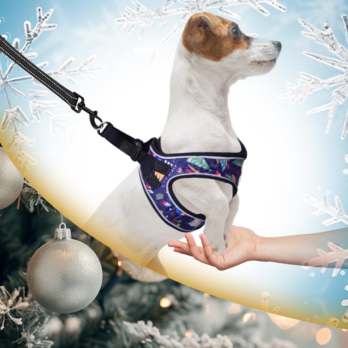 Comfort Fit Step-In Christmas Dog & Puppy Harness - Comfortable All Weather Dog Vest Harness: Adjustable, Soft Padded, Easy To P