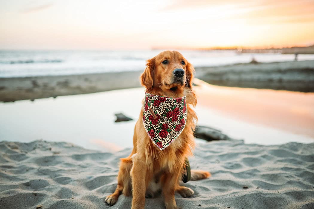 Lionheart Glory Dog Bandana 1 Pack Washable Soft Cotton Rose Leopard Bibs Scarf, Adjustable Kerchief Square Dog Bandanas For Lar