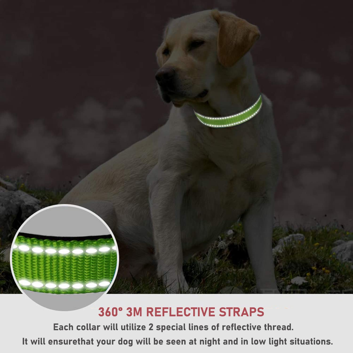 Reflective Dog Collar With Buckle Adjustable Safety Nylon Collars For Small Medium Large Dogs, Grass Green Xs