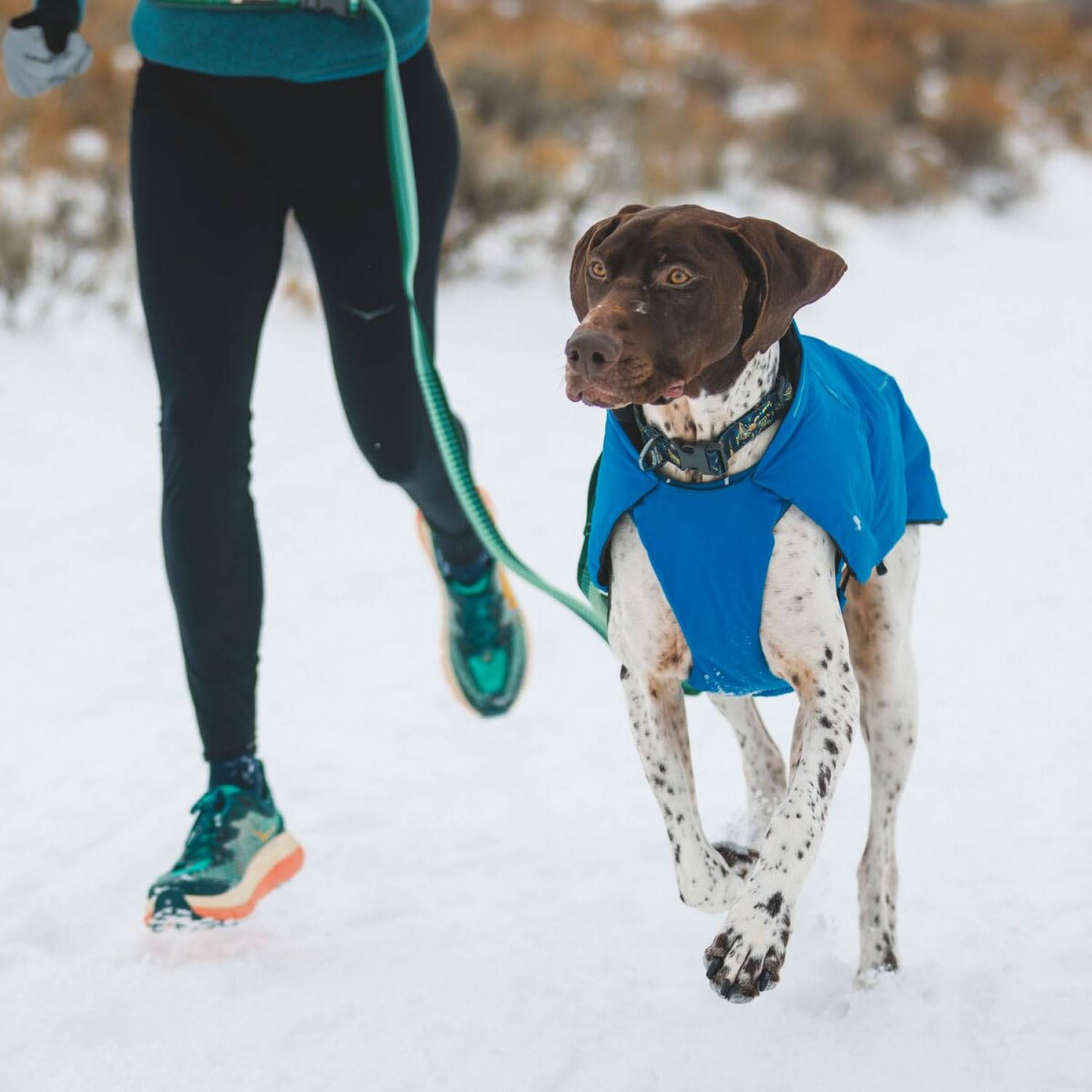 Ruffwear, Vert Dog Winter Jacket, Waterproof & Insulated Coat for Cold Weather, Blue Pool, Medium