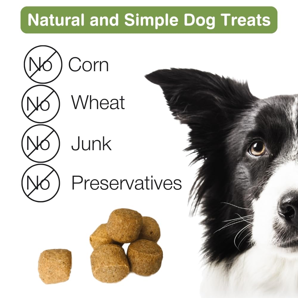 4Legz Organic Pumpkin Vegan Dog Treats from Low Fat & Crunchy Natural Snack Biscuits for Dogs Small, Medium & Large - Made in US