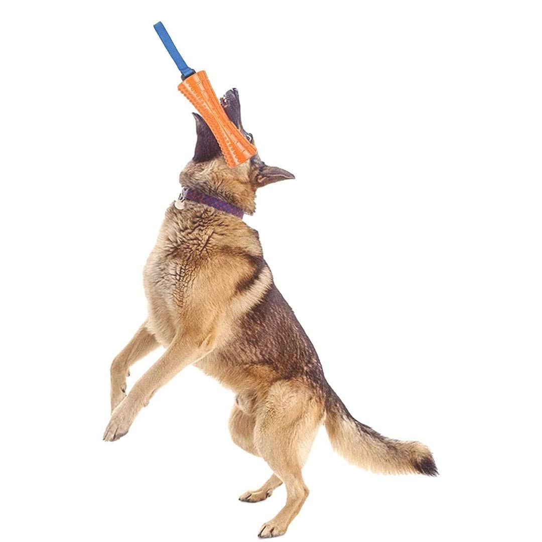 Rvpaws Squeaky Dumbbell Natural Rubber DogS Teething And Training Chew Toy With Handle For All Breeds Dogs Small,Medium & Large