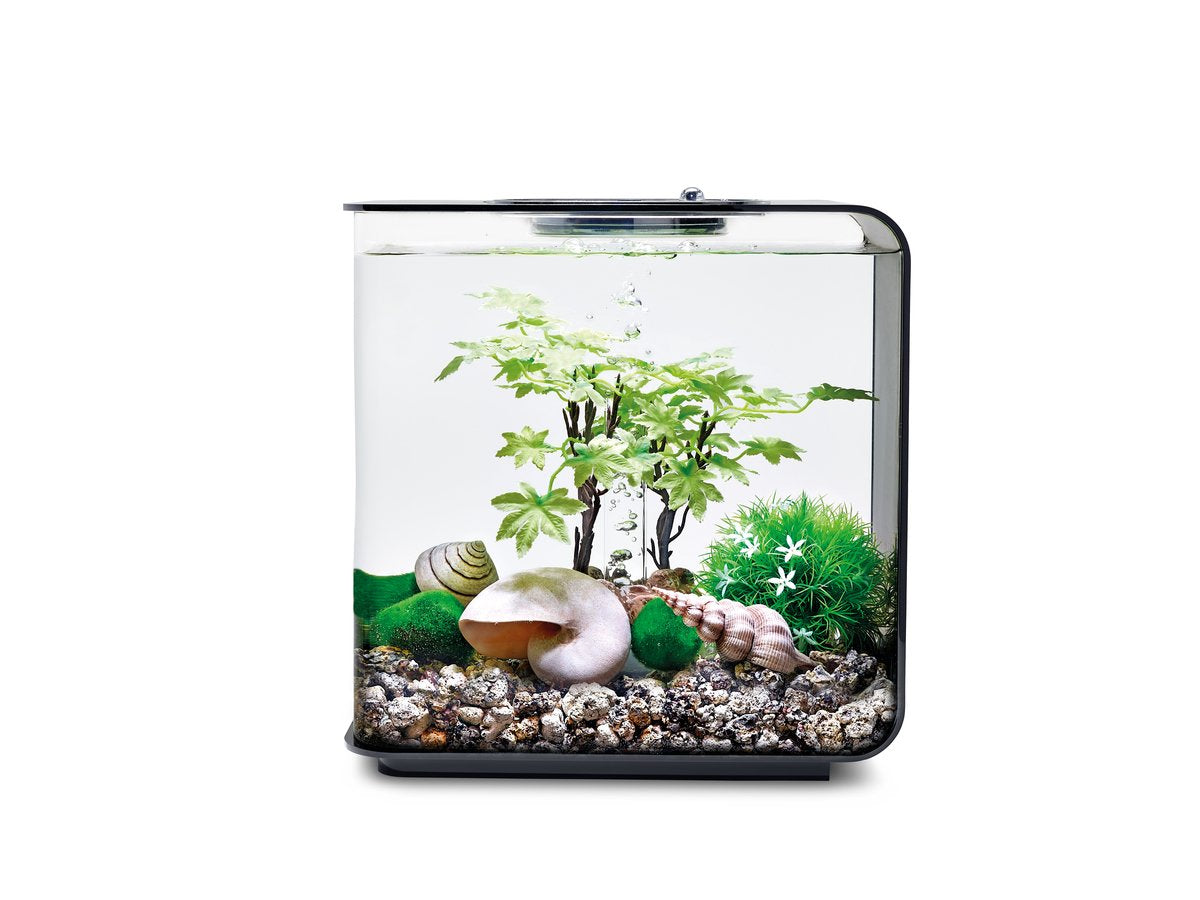 Biorb Decor Set 15L Summer, Multi, Small