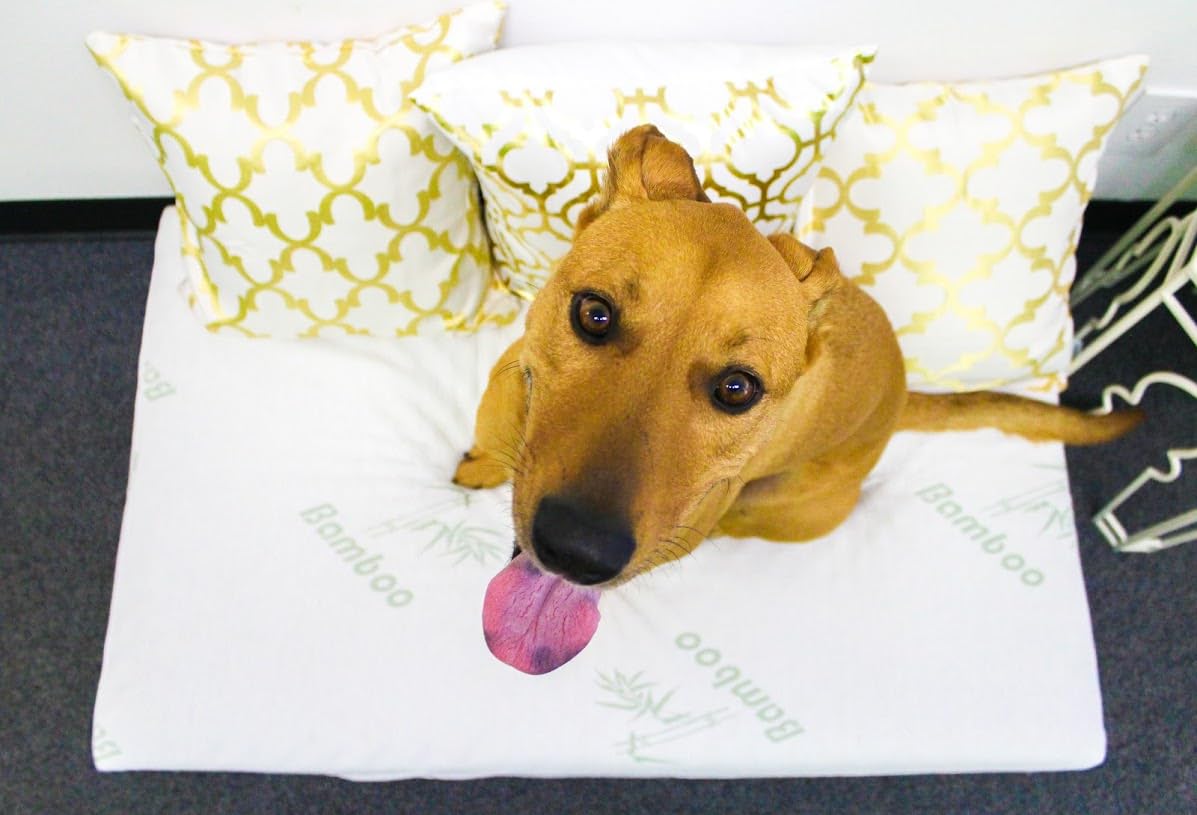 Petique Eco-Friendly Bamboo Memory Foam Pet Bed, Natural, Medium, Model Number: Mm01900005