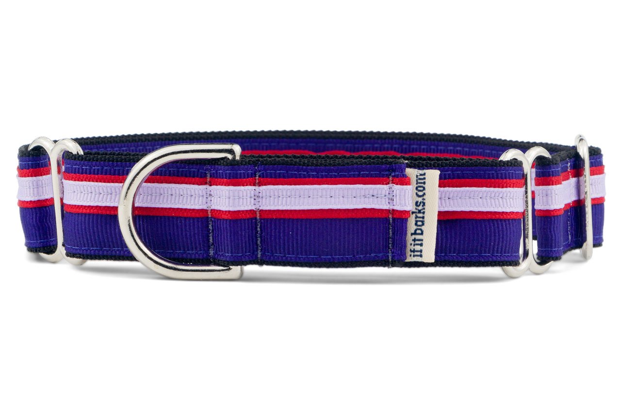 If It Barks 1'' Martingale Collar For Dogs, Adjustable Nylon, Usa Made, Medium, Jelly