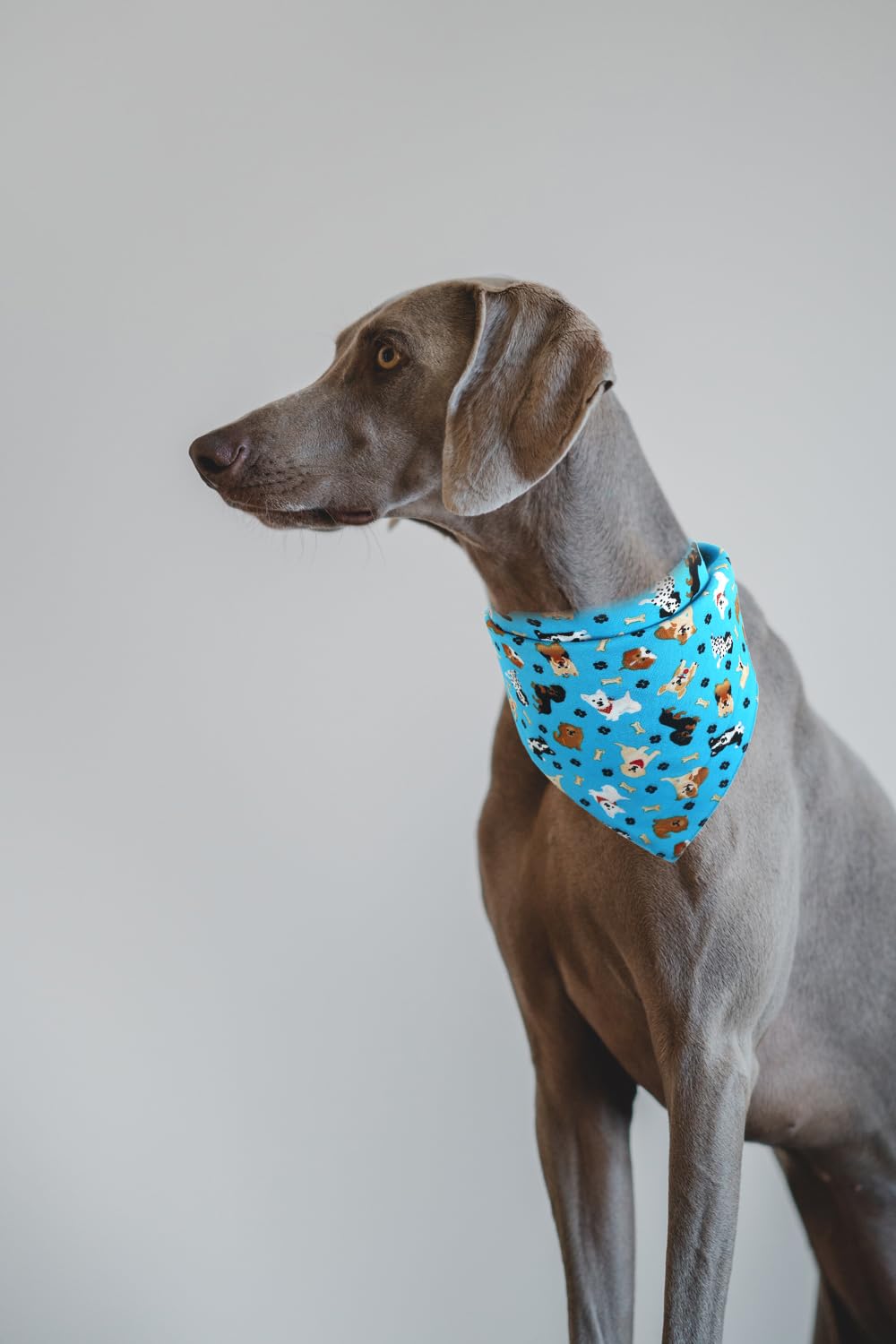 Dog Bandana Reversible Triangle Bibs Scarf Accessories For Cats Pets Animals