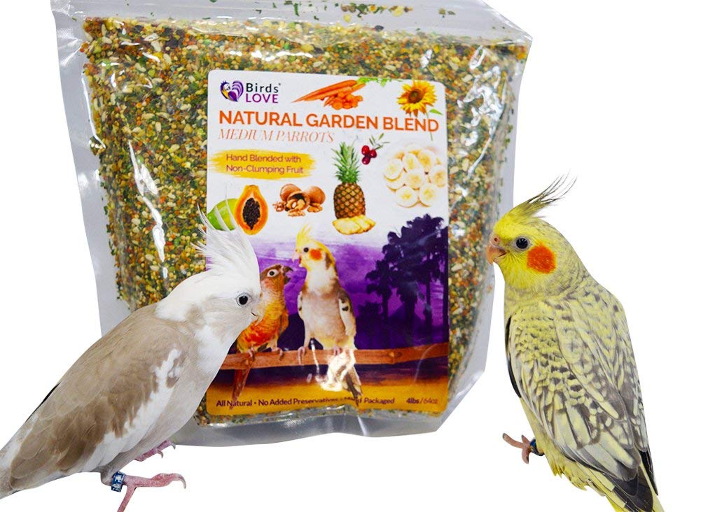 Birds LOVE All Natural Garden Blend Bird Food for Medium Birds - Cockatiels, Green Cheek Conures, Ringneck Parakeets and Small Q