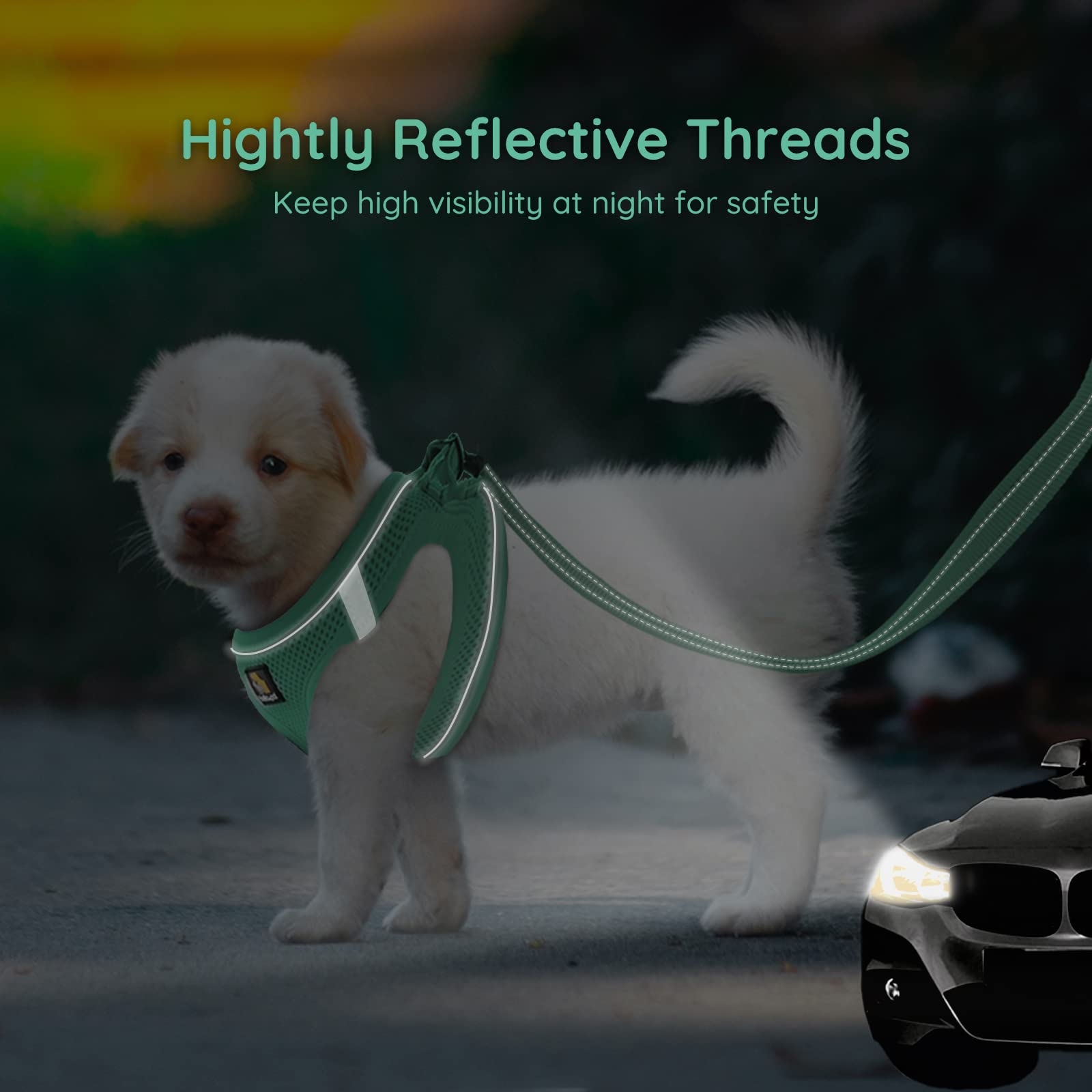 Bella & Pal Puppy Harness & Leash Set, No Pull, Step-In Harness For Extra Small Dogs, Green Xs
