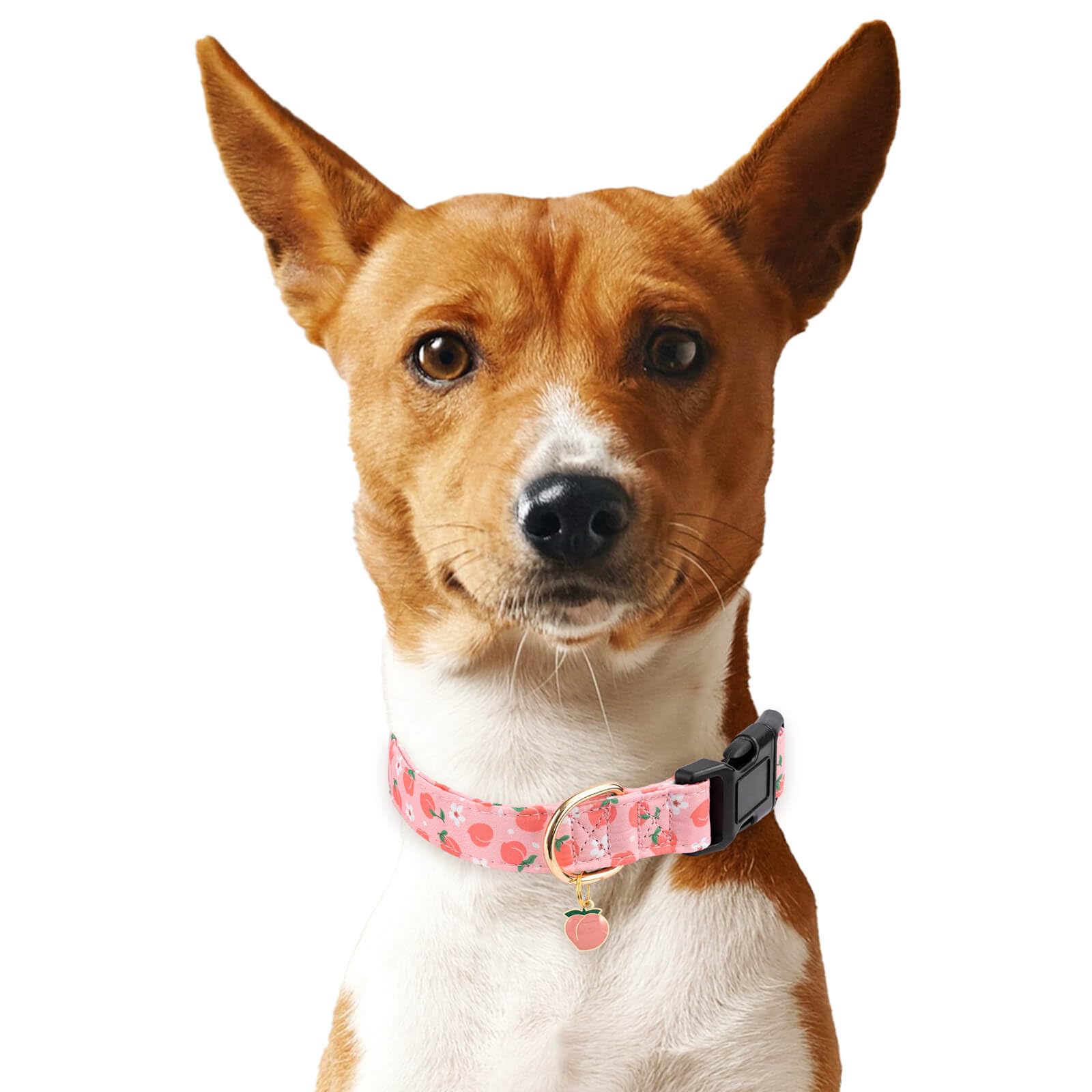 Gelwoo Cotton Dog Collar,Soft and Cute Puppy Collars with Peach Patterned Design for Girl Female Boy Dogs,Adjustable Buckle Pet