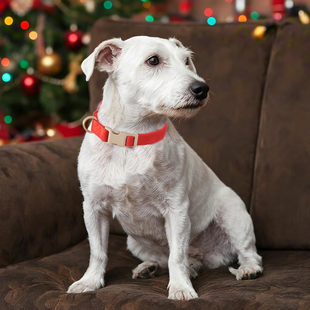 Yudote Soft Cotton Dog Collar Adjustable Corduroy Dog Collars For Small Medium Large Dogs(Red,Small)