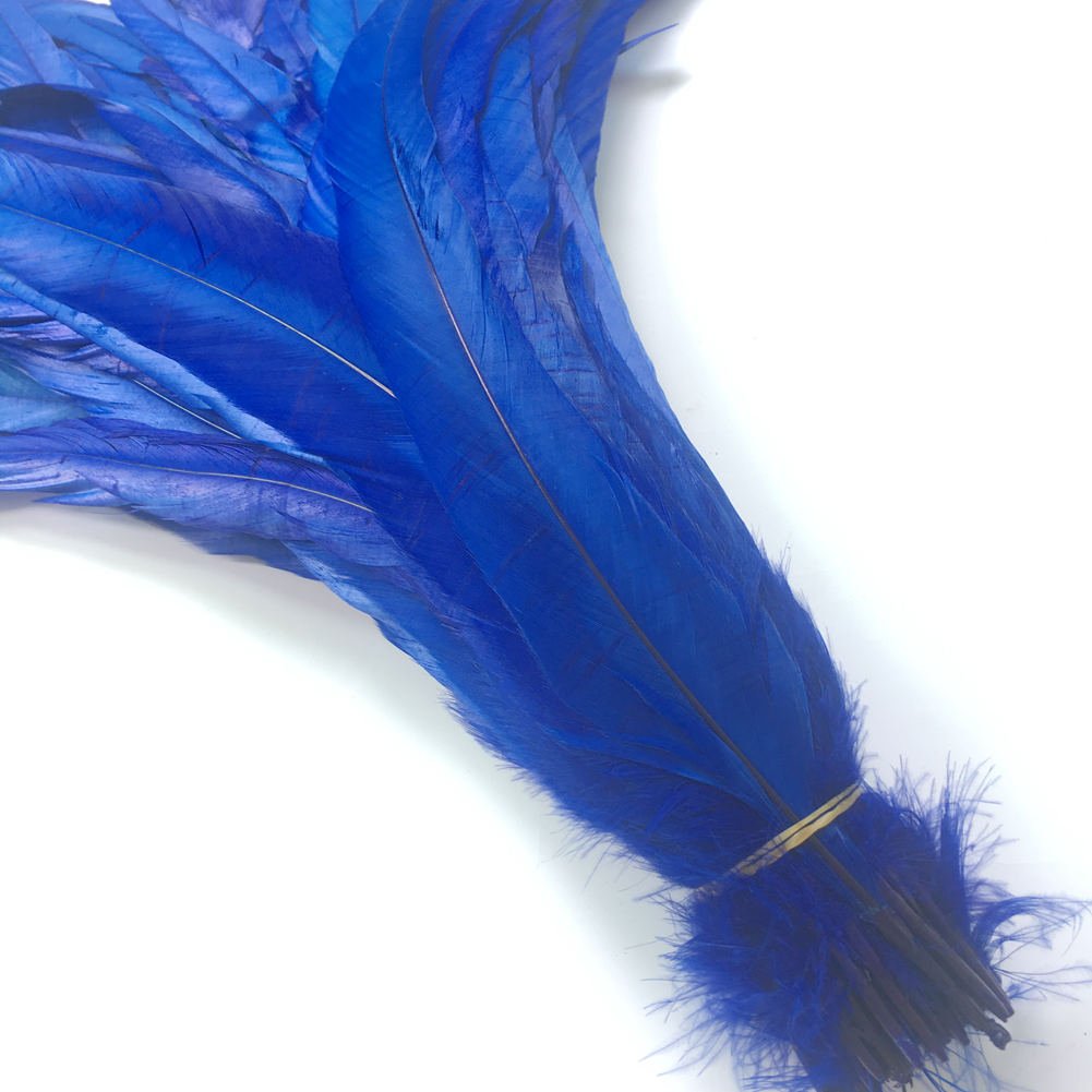 Shekyeon 12-14Inch Rooster Tail Feather Used Hats Costume Decoration Pack Of 50(Royal Blue)