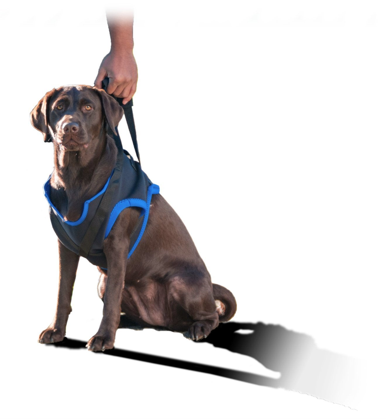 Walkabout Front Harness (Med/Large 25-32