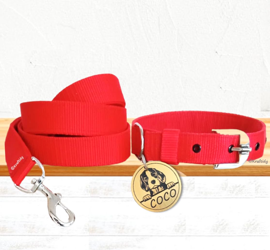 Kraftidy Dog Collar And Leash Belt Set With Name Tag Id Customized For Large Medium Small Puppy And Dogs Neck Collar And Rope Le