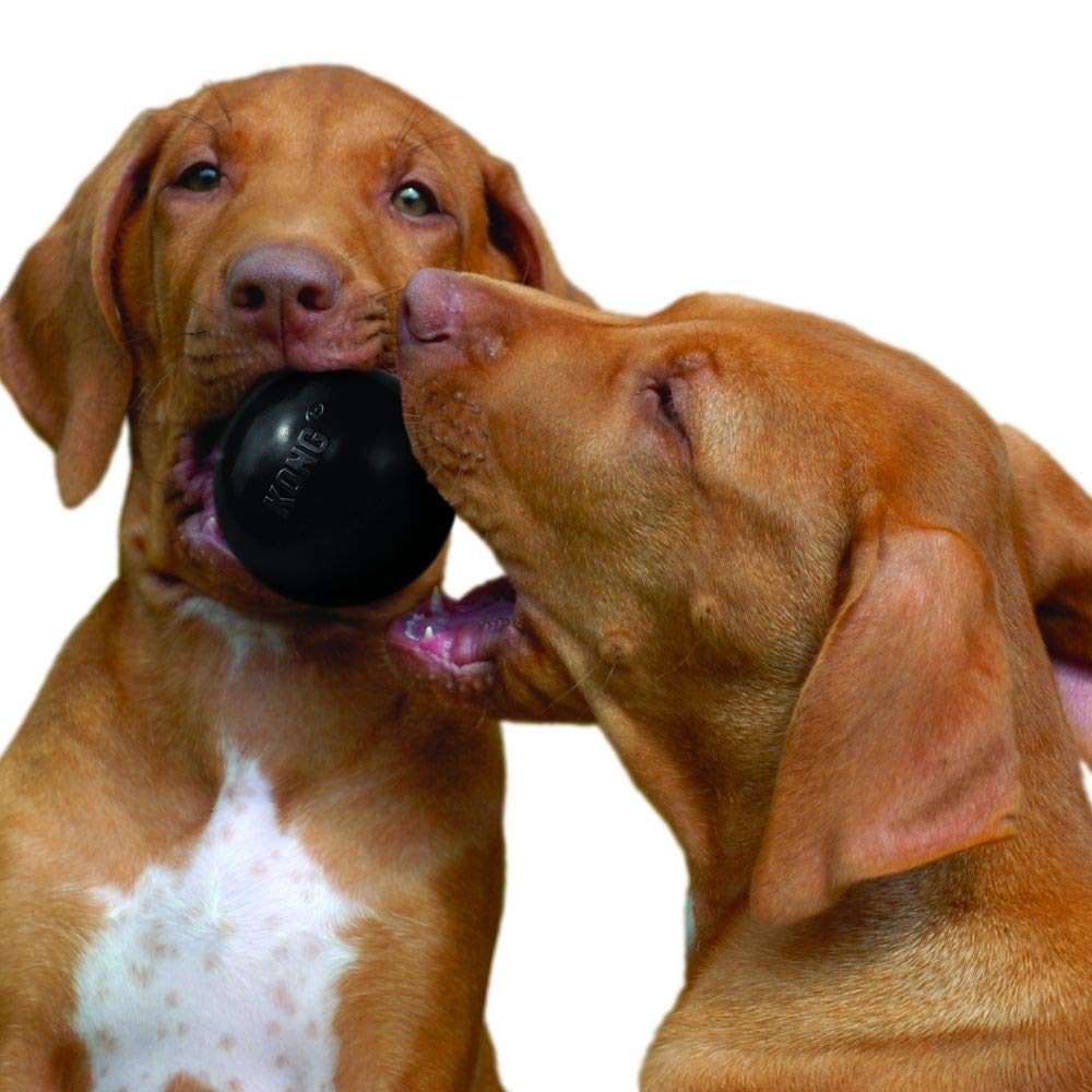 KONG Extreme Ball with Hole - Dog Fetch Toy - Durable Dog Ball Toy for Training, Interactive Playtime & More - Natural Extreme R