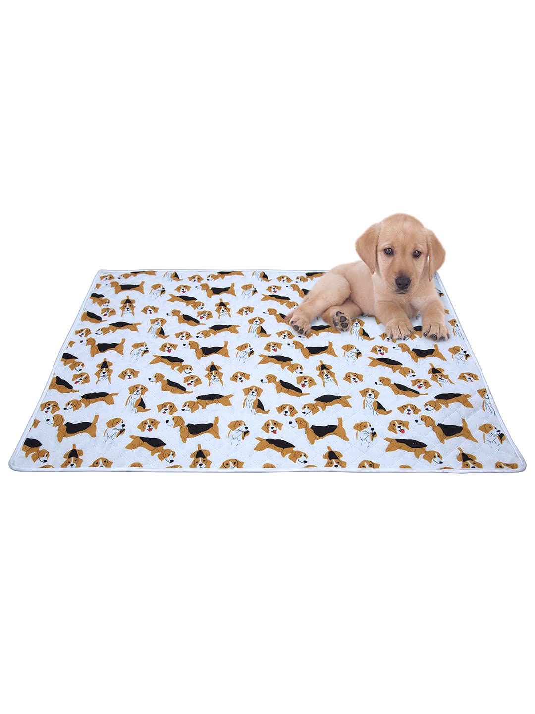 Aazeem Soft Light Weight Mat For Dogs,Cats & Pets, (SizeM),Multi